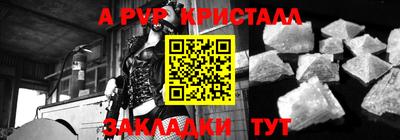 стафф Кандалакша