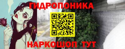 стафф Кандалакша