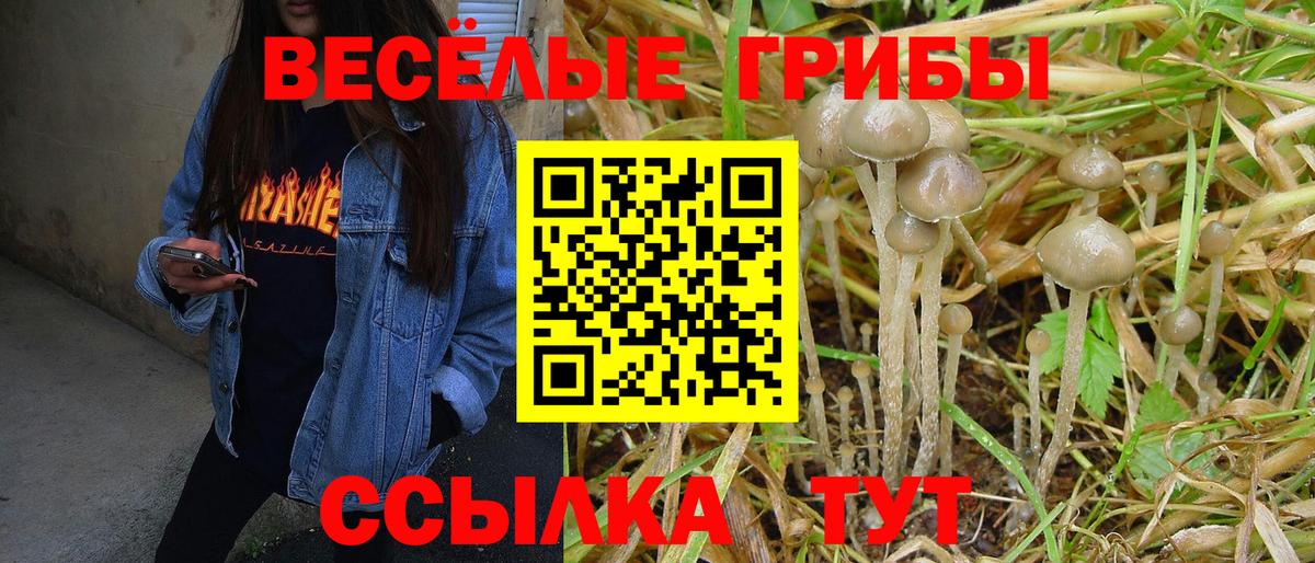 Галлюциногенные грибы мицелий Кунгур