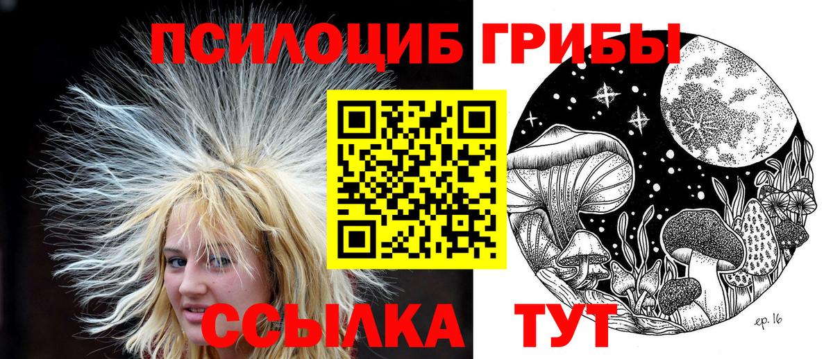 Кунгур  Галлюциногенные грибы прущие грибы  Галлюциногенные грибы Psilocybe  Вход с VPN 